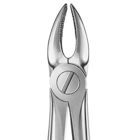 Anatómiai fogó Fig.2