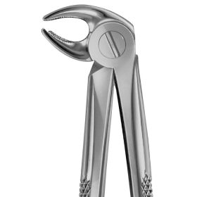 Anatómiai fogó Fig.13