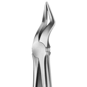 Anatómiai fogó Fig.51A